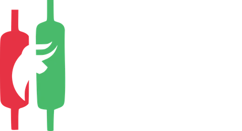 Dominium Flow — identidade visual oficial